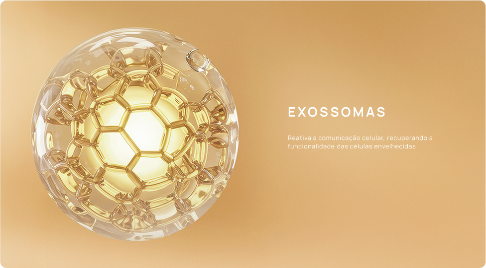 EXOSSOMAS